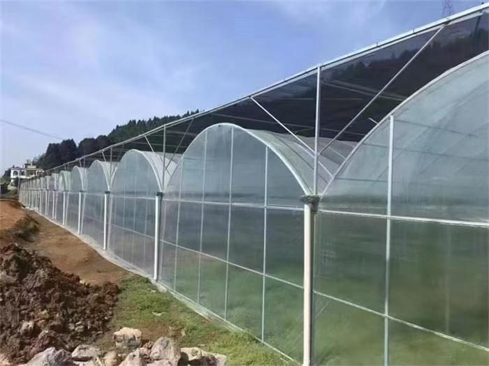 蔬菜大棚